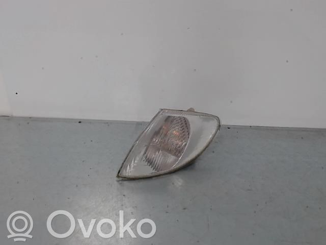 Seitenblinker