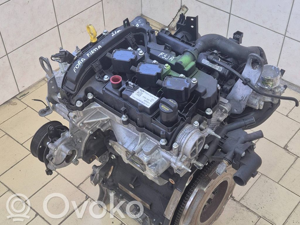 Motor   FSJA,H1BG6007