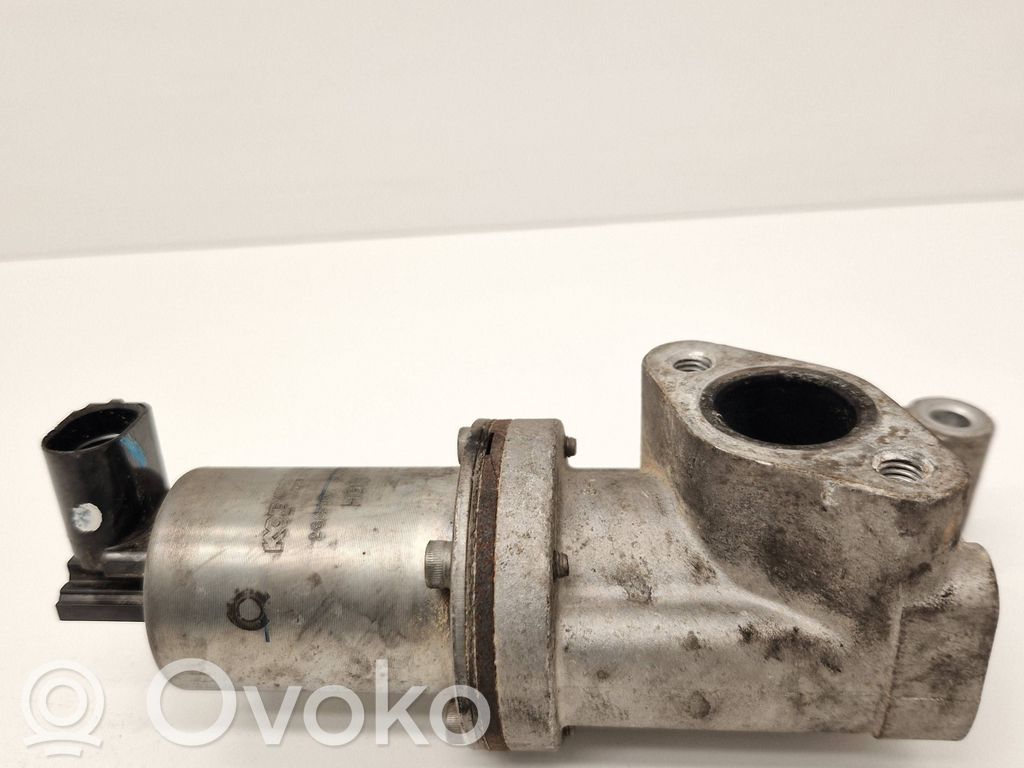 Válvula EGR   284102A300