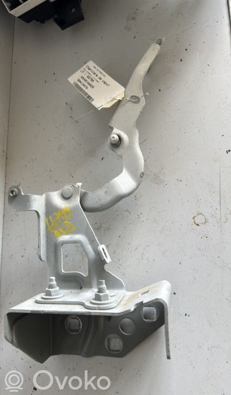 Opel Vivaro Cerniere del vano motore/cofano 