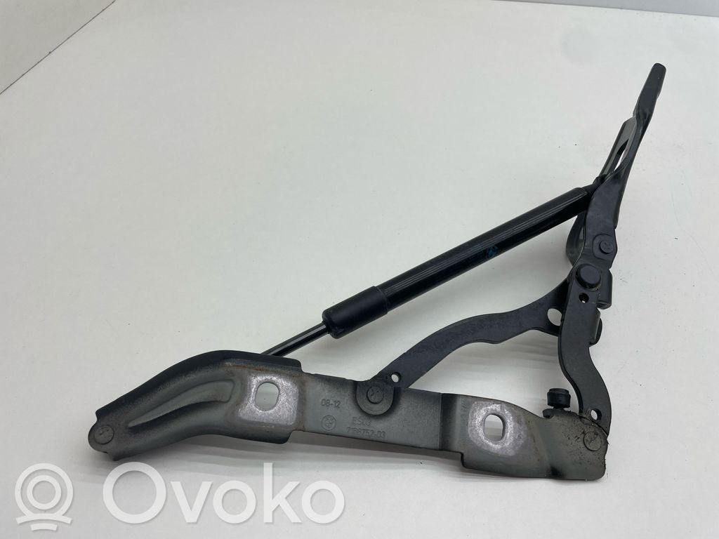 BMW 1 E82 E88 Tailgate/trunk/boot hinge 