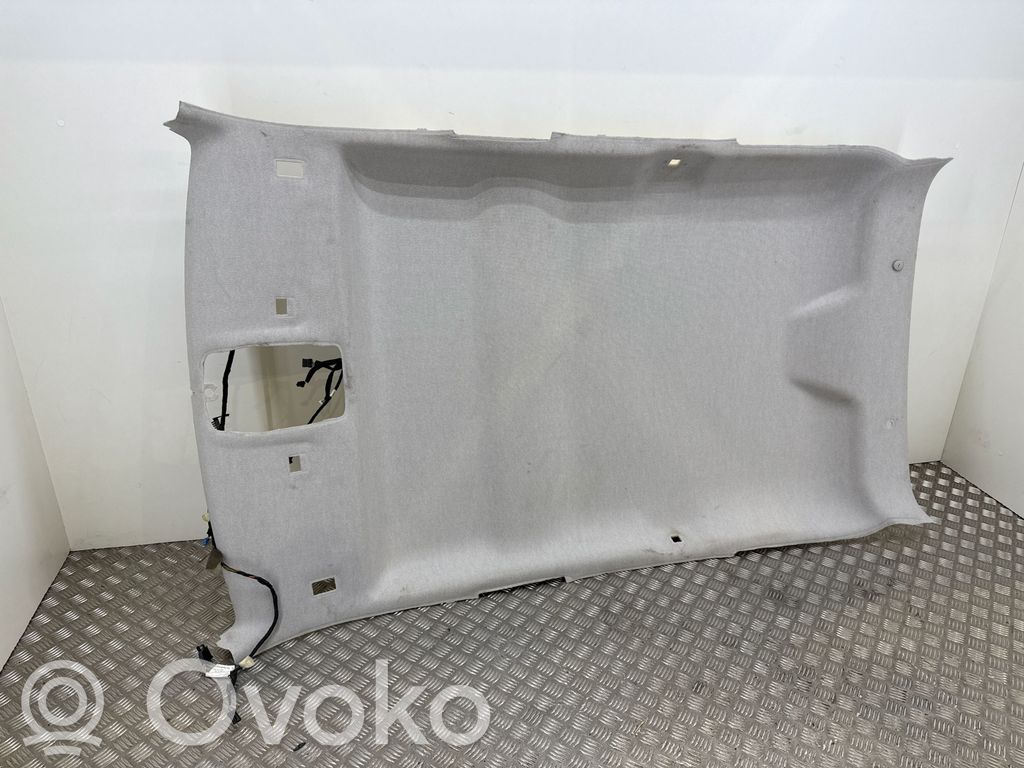 Citroen C4 Cactus Techo 
