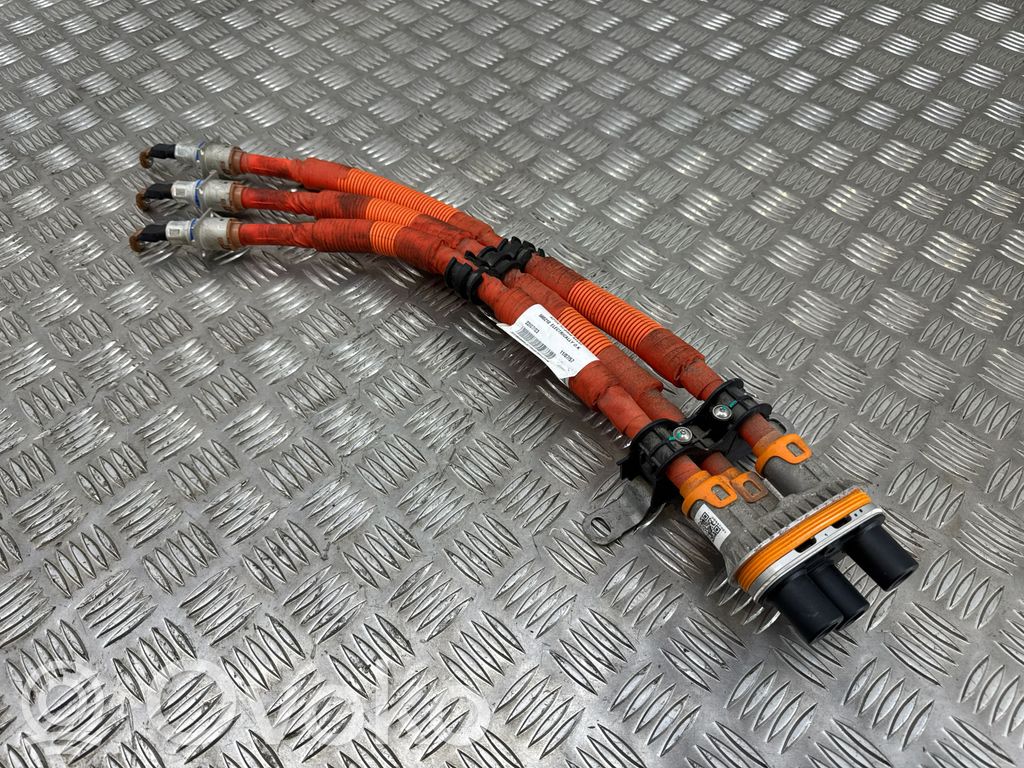 Polestar 2 Other wiring loom 