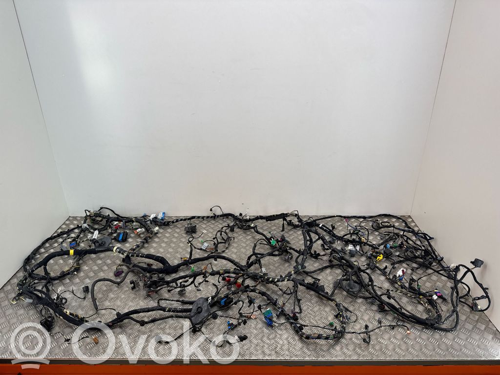 Mazo de cables   78081070700,A50212619,A50217920