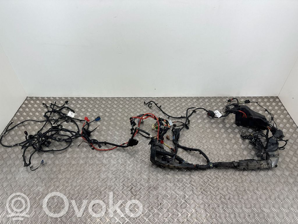 Jaguar E-Pace Cableado de instalación del motor 