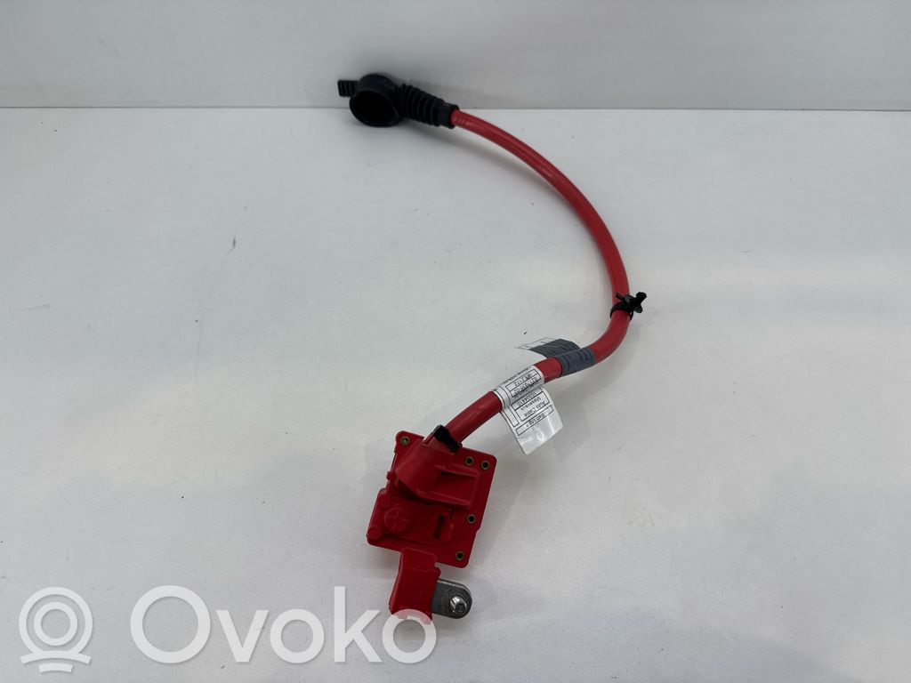 BMW 5 F10 F11 Positive cable (battery) 