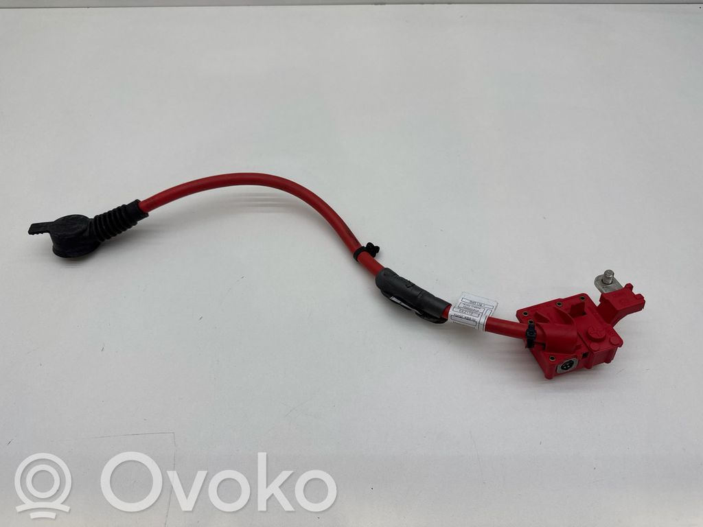 BMW 5 F10 F11 Positive cable (battery) 