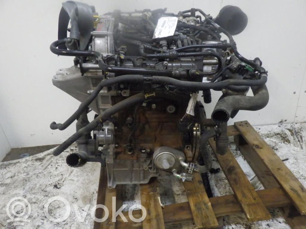 Ford Fiesta Variklis 