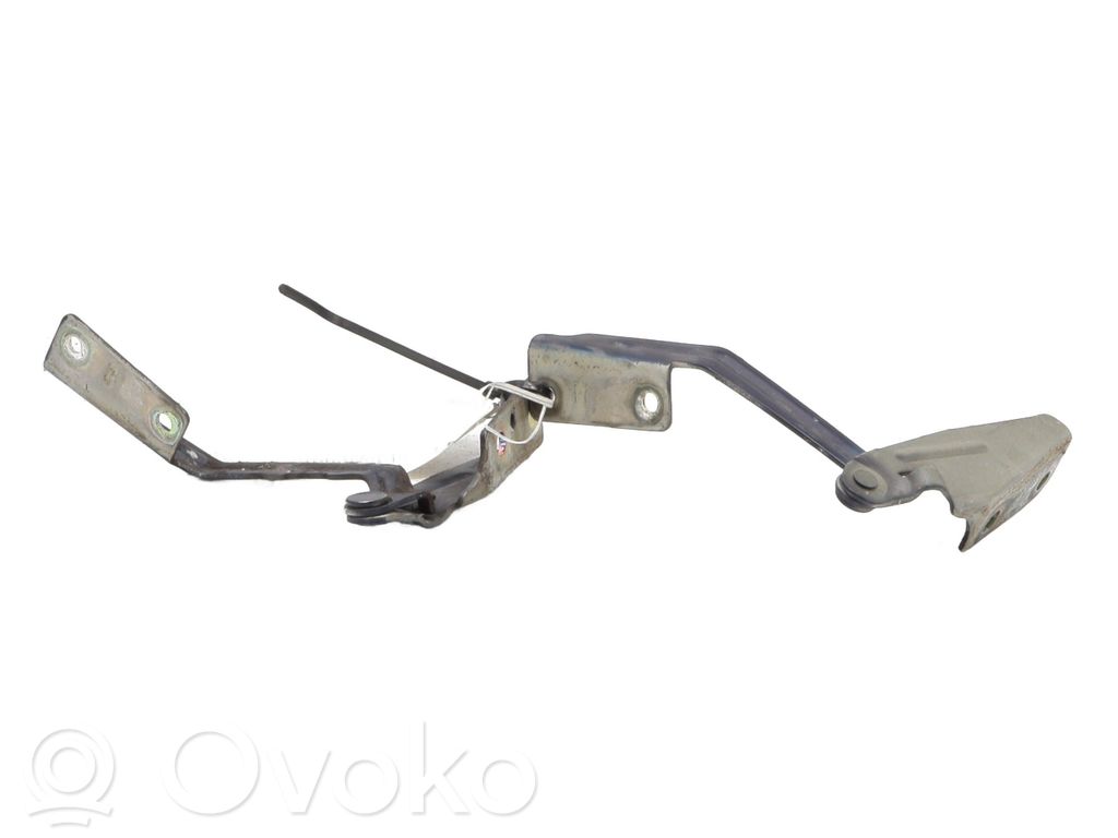 Ford Focus Dzinēja pārsega eņģe (-es) 