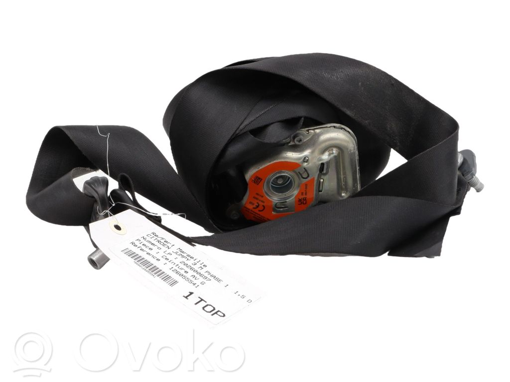 Cinturón delantero   98083794XX