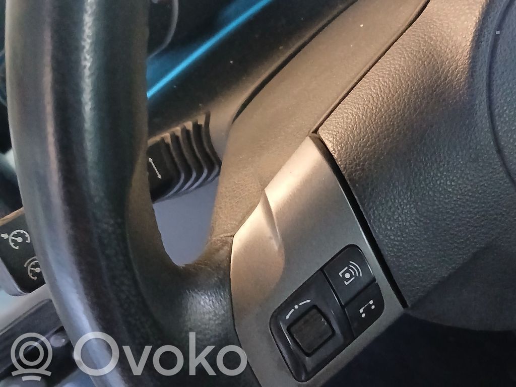 Volante   13250383