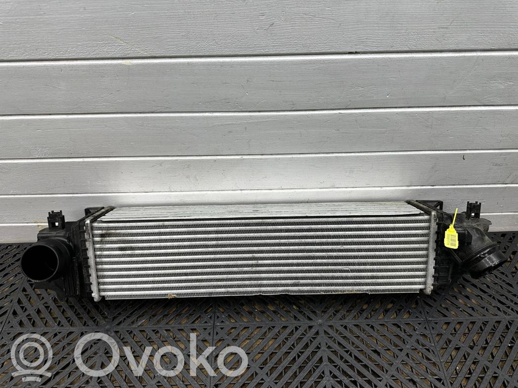BMW X1 F48 F49 Interkūlerio radiatorius 