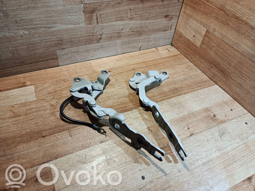 BMW 1 E81 E87 Cerniere del vano motore/cofano 