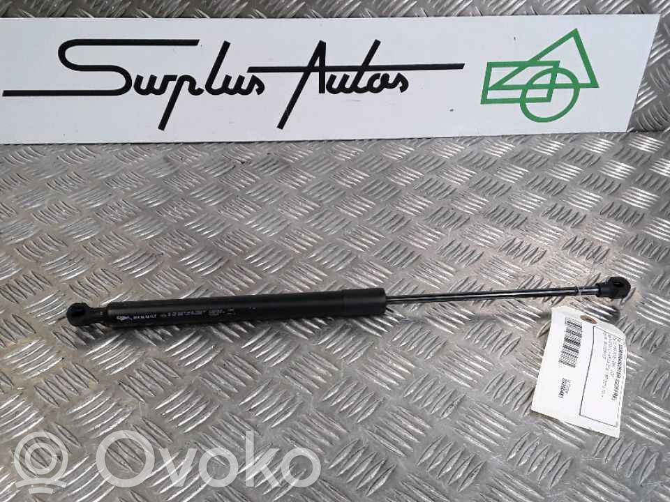Renault Zoe Tailgate/trunk strut/damper 