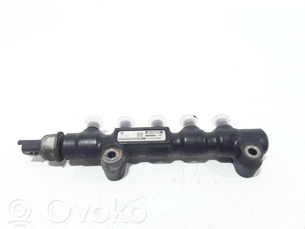 Citroen C3 Linea principale tubo carburante 