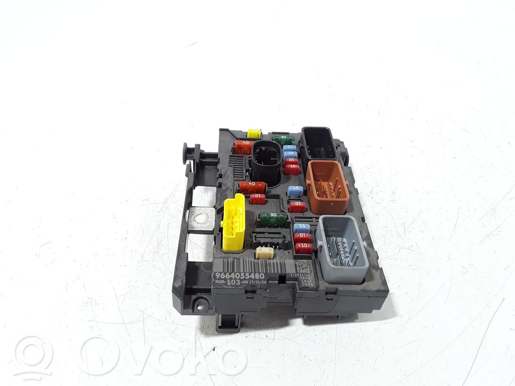 BSM Control unit   9664055480,BSML0300,20241498,5744980,VDMS13