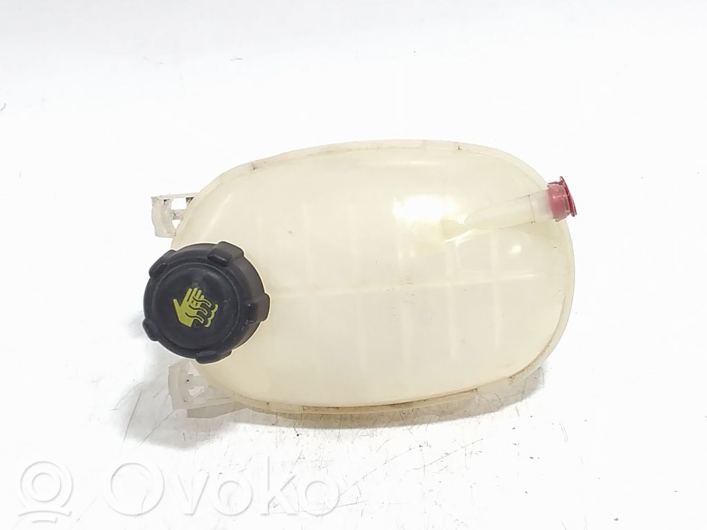 Renault Clio V Vas expansiune/rezervor lichid de răcire 