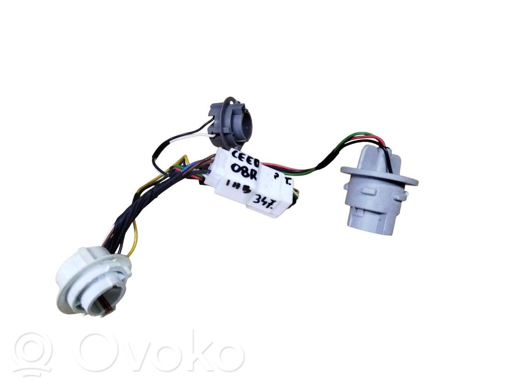 Tail light bulb cover holder