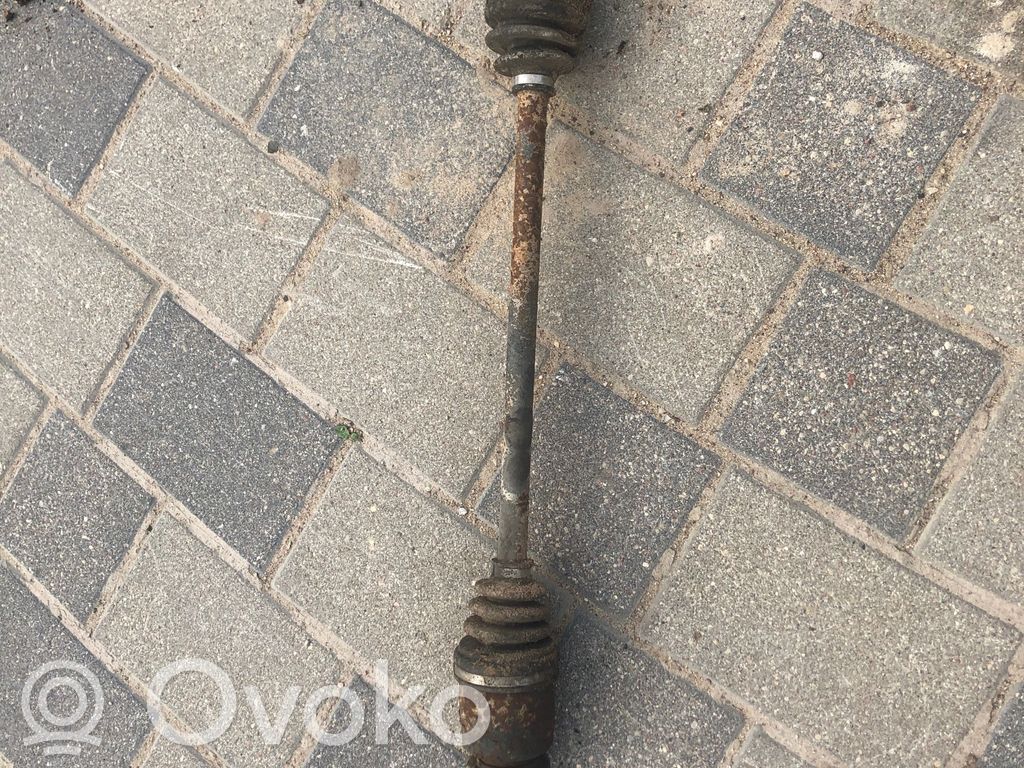 Aizmugurējā pusass