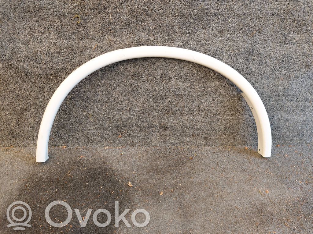 Fender trim (molding)