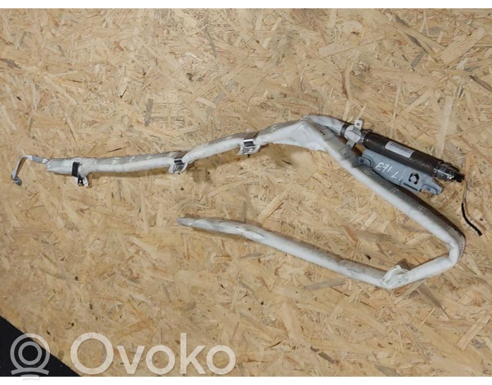 BMW X6 E71 Airbag del techo 