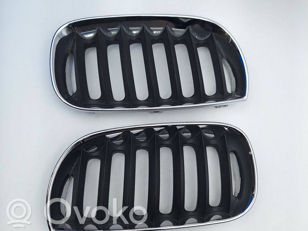 BMW X3 E83 Front grill 