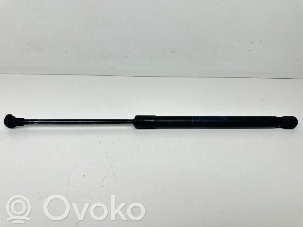 Tailgate/trunk strut/damper   51247060622,57540V,D56070