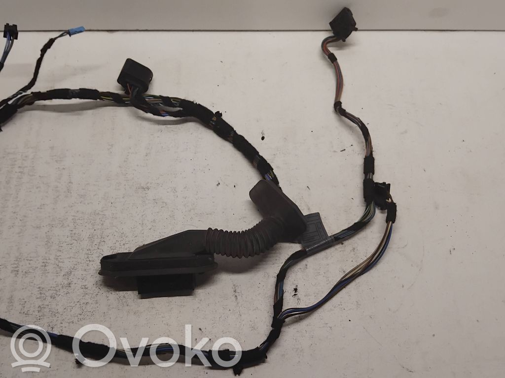 Cableado de puerta delantera   6928651,11107811,EES541
