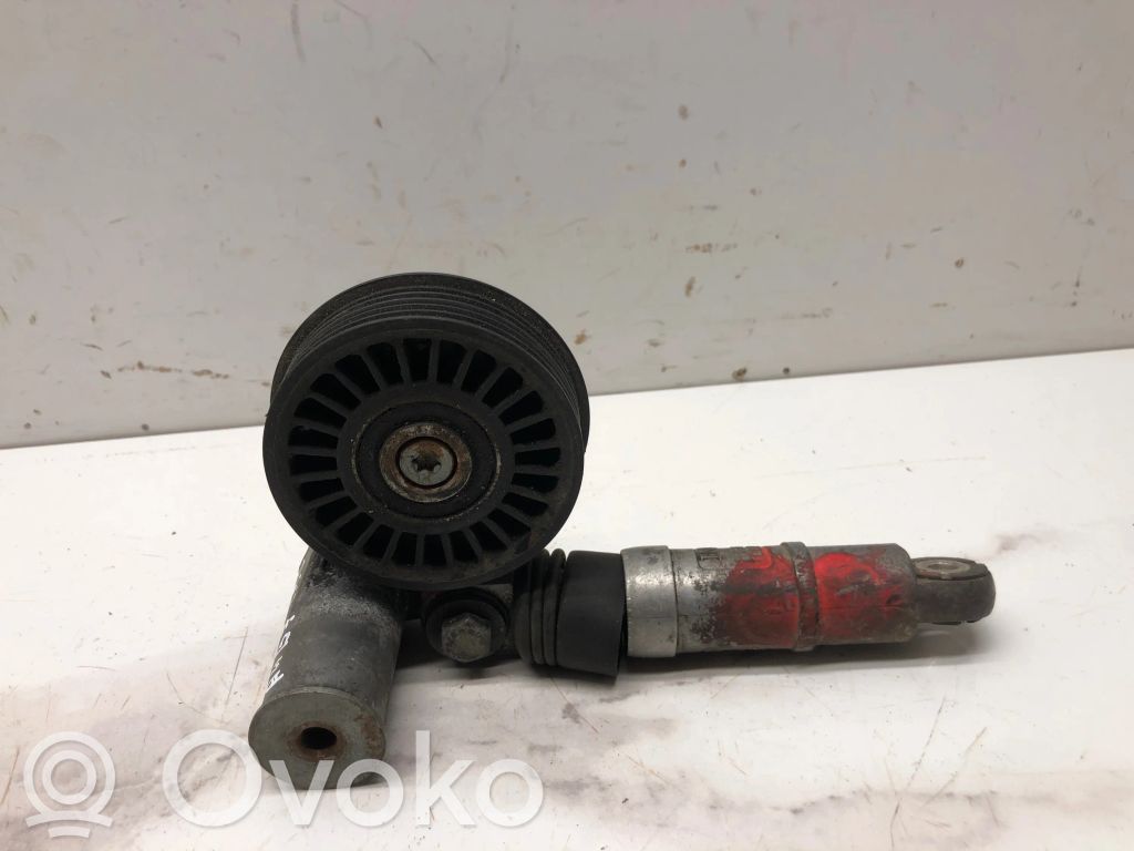 Audi A4 S4 B6 8E 8H Generatoriaus diržo įtempėjas 
