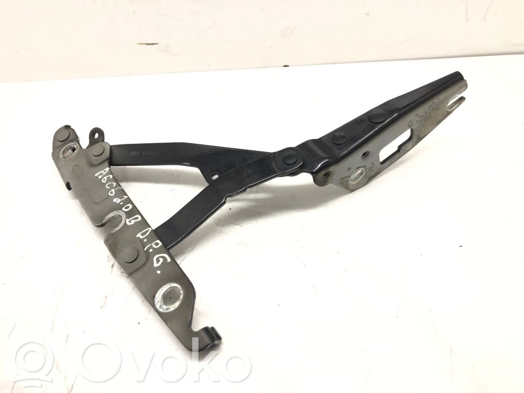Tailgate/trunk/boot hinge   4F5827302,07S52669