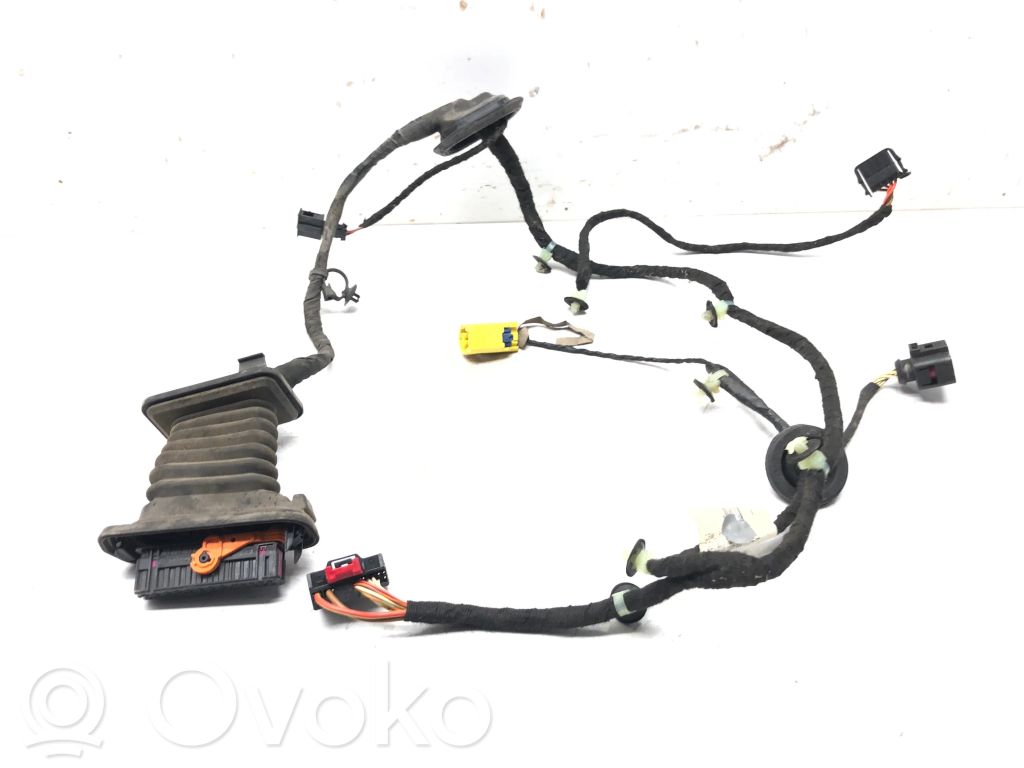 Volkswagen PASSAT B6 Cablaggio porta anteriore 