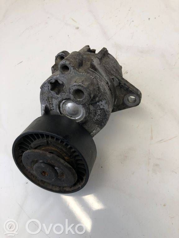 Mercedes-Benz Sprinter W906 Napinacz paska alternatora 