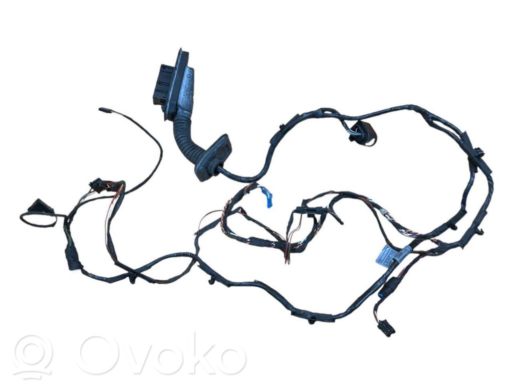 BMW X5 E70 Cableado de puerta delantera 