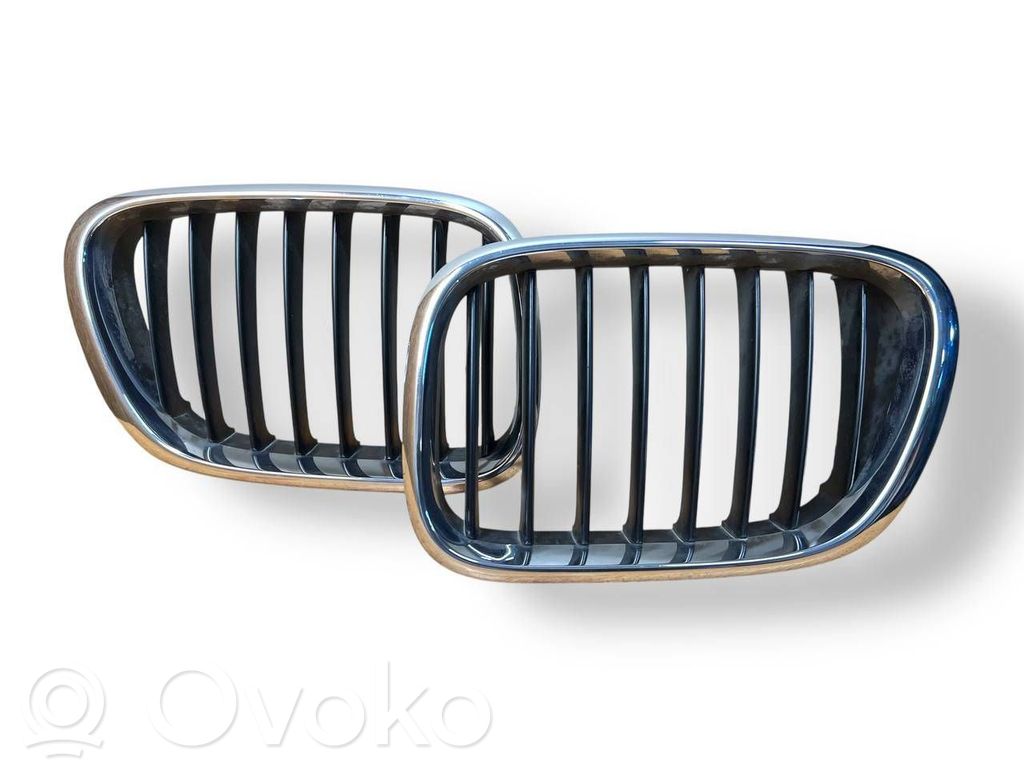 BMW X5 E53 Front bumper upper radiator grill 