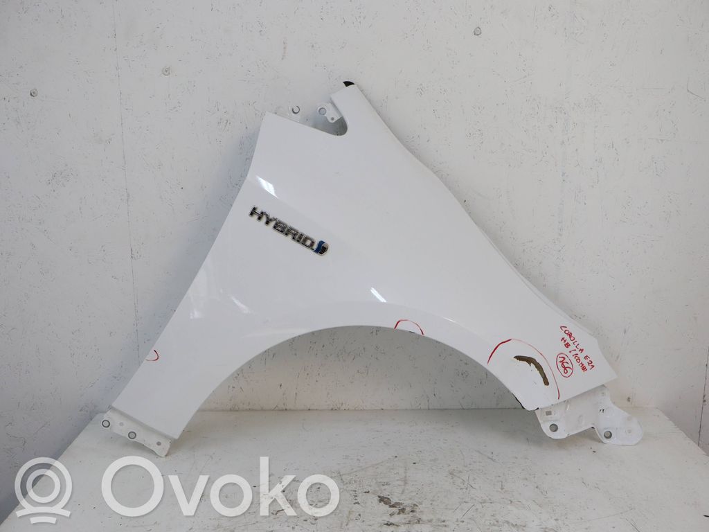 Spārns   BLOTNIKCOROLLA