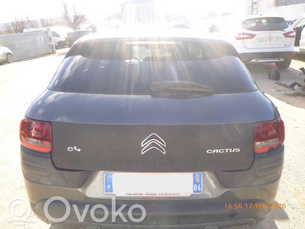 Citroen C4 Cactus Tailgate/trunk/boot lid 