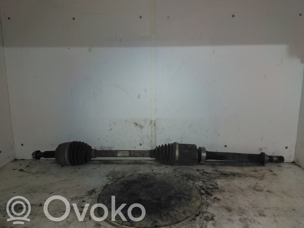 Dacia Duster Hayon/capotă portbagaj 