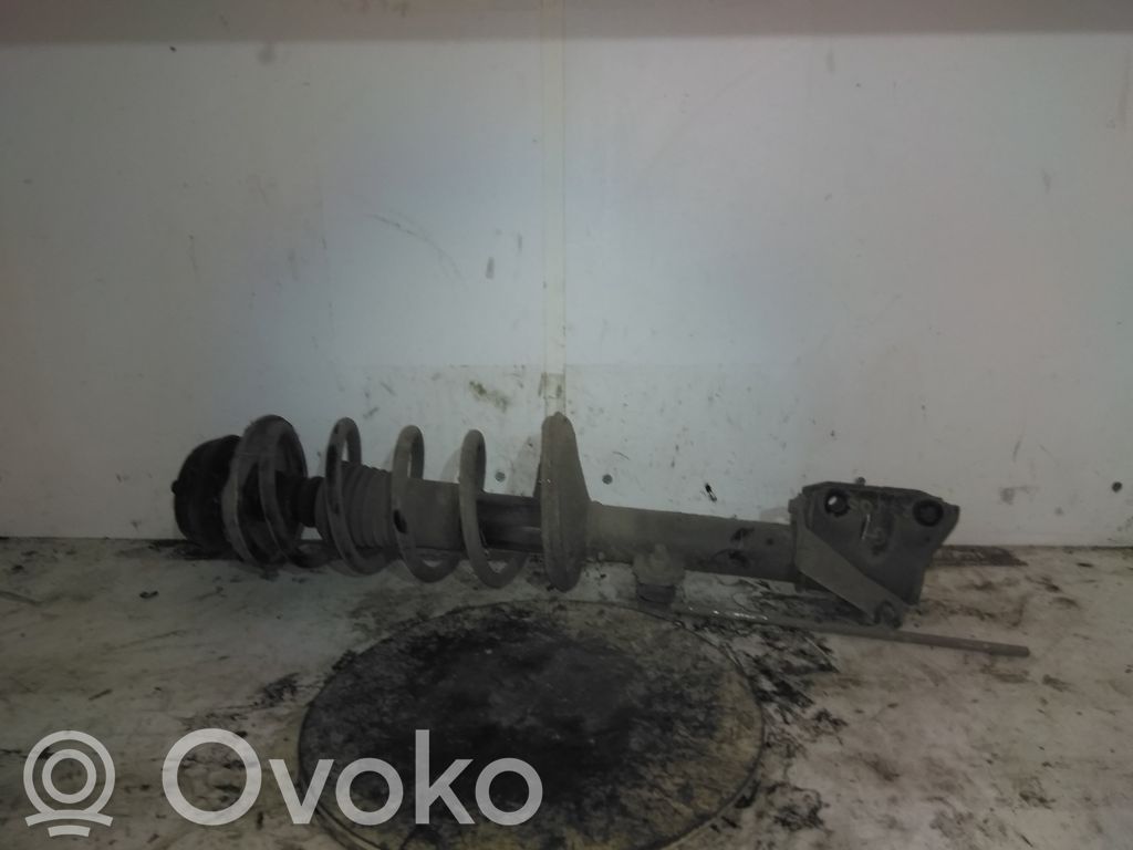 Dacia Duster Hayon/capotă portbagaj 