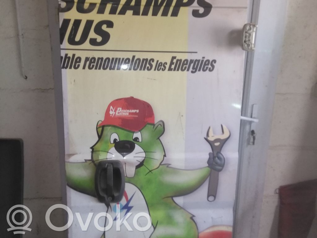 Fiat Ducato Drzwi tylne do samochodów dostawczych 