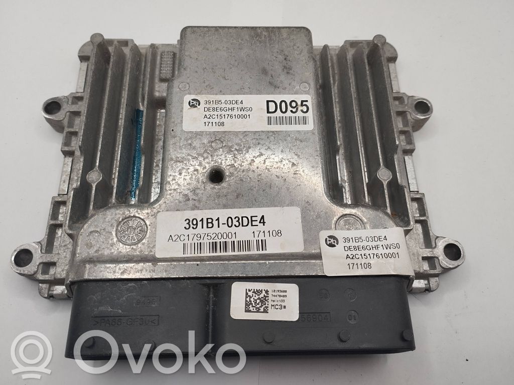 Engine control unit/module   391B103DE4,171108,12193600,A2C1797520001,C17975200
