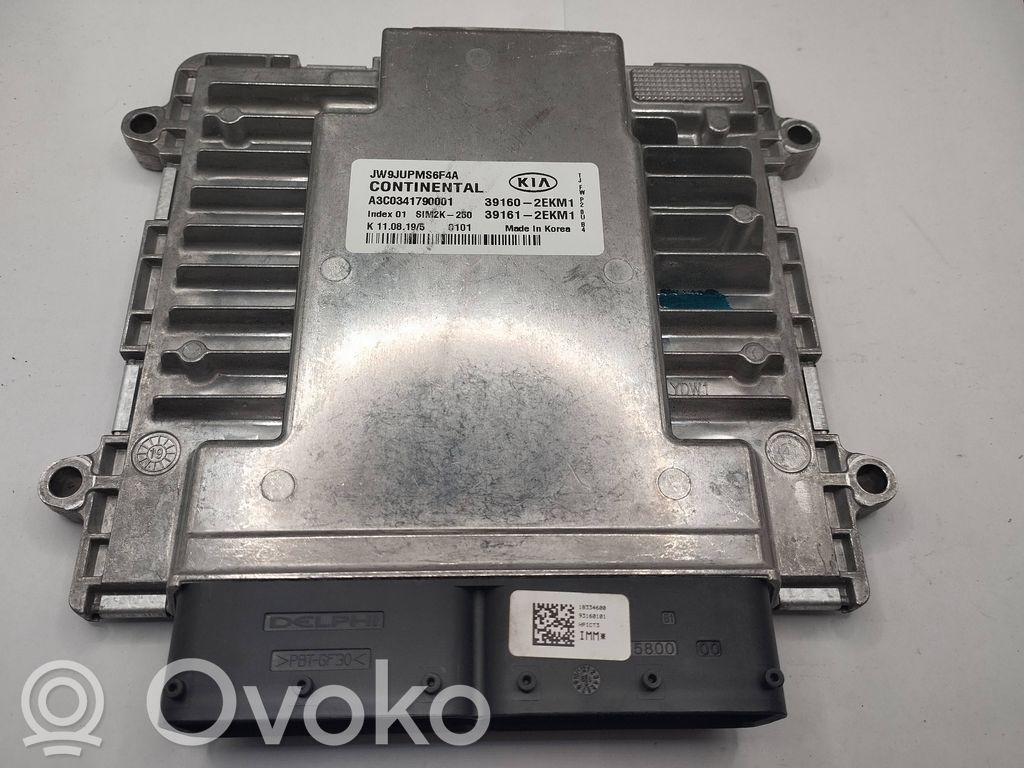 Engine control unit/module   A3C0341790001,391612EKK1,391602EKM1