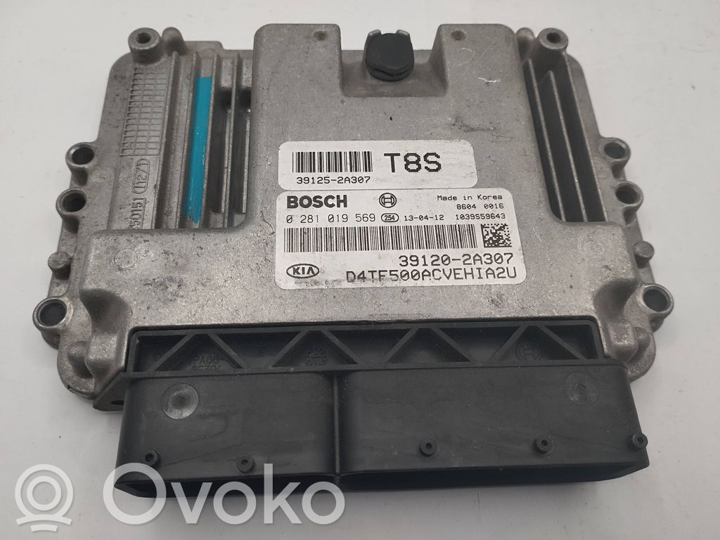 KIA Optima Engine control unit/module 