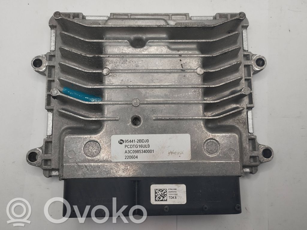 Engine control unit/module   A3C0985340001,954412BDJ0,SM2K305