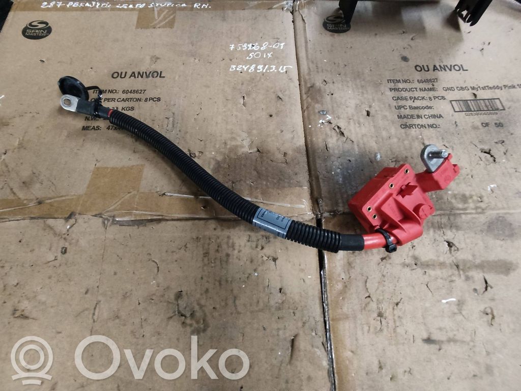 BMW X5 E70 Pliusinis laidas (akumuliatoriaus) 
