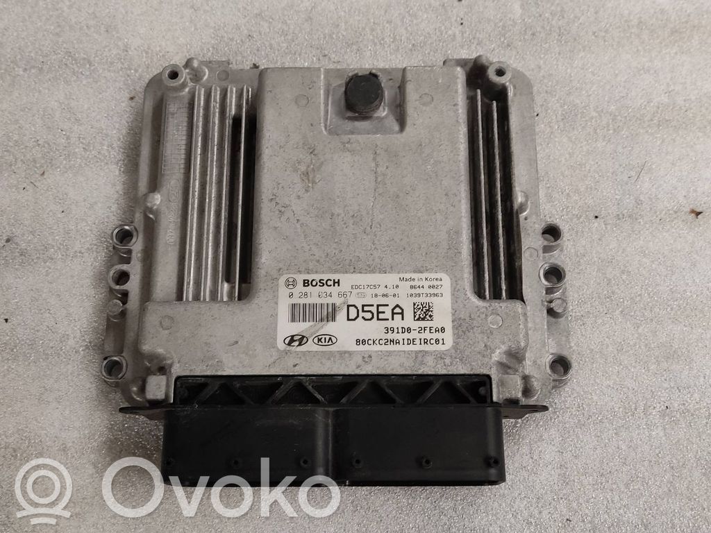 Engine control unit/module   391D02FEA0,EDC17057,0281004667