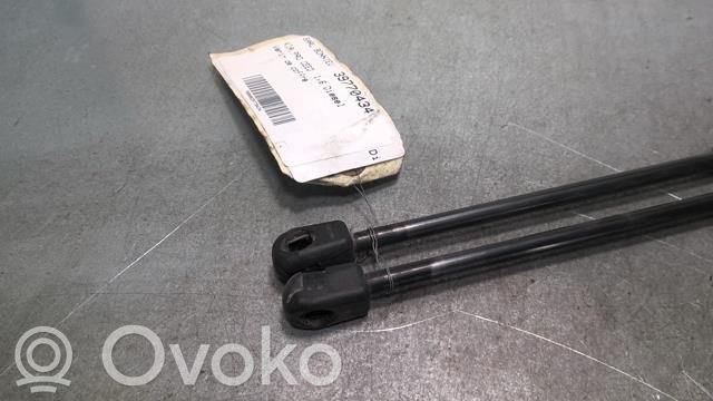 Tailgate/trunk strut/damper   870208