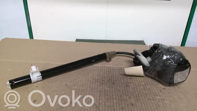 Cinturón delantero   1133854