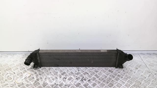 Intercooler radiator