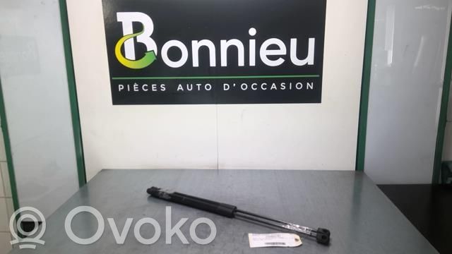 Audi A1 Tailgate/trunk strut/damper 