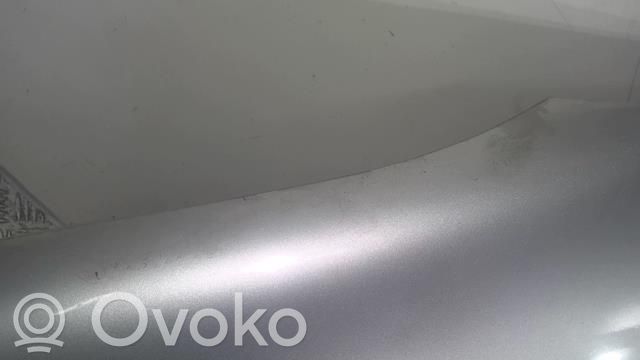 Chevrolet Kalos Fender 